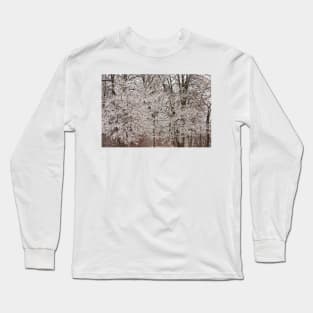 Branches In Ice © Long Sleeve T-Shirt